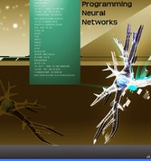 Programming Neural Networks