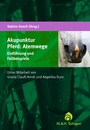 Akupunktur Pferd: Atemwege - Einführung und Fallbeispiele