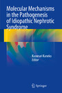 Molecular Mechanisms in the Pathogenesis of Idiopathic Nephrotic Syndrome